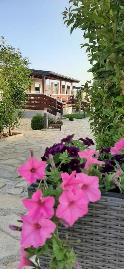 Mobile Homes Kamp Maslina, Биоград-на-Мору Экстерьер фото
